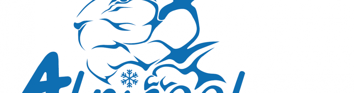 Аксессуары  Alpicool