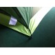 Козырек ЛОТОС 3 Козырек ЛОТОС 3 image