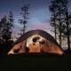 Туристическая палатка 3-местная Naturehike Pro Ultra-Light 4 для пеших и горных походов Туристическая палатка 3-местная Naturehike Pro Ultra-Light 4 для пеших и горных походов фото