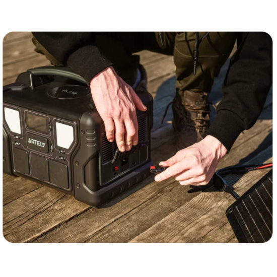 Портативное зарядное устройство - электростанция ARTELV 300 Вт 220V/50Hz фото